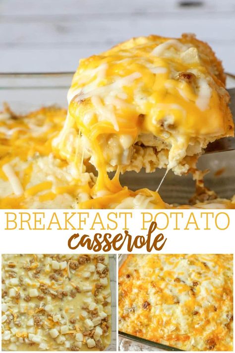 Cheesy Potato Breakfast Casserole - it takes minutes to make and is delicious!! Filled with eggs, milk, sausage, hash browns and cheese, this recipe will become a breakfast favorite. #cheesypotatobreakfastcasserole #breakfastcasserole #cheesypotatocasserole #breakfast #potato Egg Casserole Recipes Potato, Breakfast Potato Casserole Crockpot, Cheesy Potato Egg Casserole, Breakfast Casserole Potatoes Eggs, Potato Casserole Recipes Breakfast, Potatoe Egg Bake, Brunch Ideas With Potatoes, Potato Breakfast Casserole No Eggs, Potato And Egg Breakfast Casserole