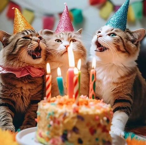 Funny Happy Birthday Wishes, Birthday Greetings Friend, Happy Birthday Art, Birthday Illustration, Happy Birthday Wishes Cards, Happy Birthday Funny, Happy Birthday Fun, Two Cats, Birthday Wishes Cards