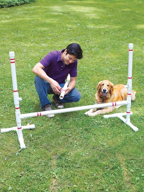 Agility training is a great way to keep your pet happy, healthy, and smart. Learn how to build a DIY dog agility course with help from This Old House today! Diy Dog Agility Course, Dog Agility Diy, Dog Agility Course Diy, Dog Agility Course, Dogs Diy Projects, Agility Training For Dogs, Dog Playground, Easiest Dogs To Train, Agility Training