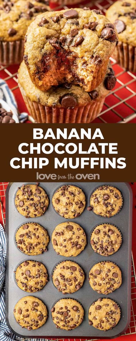 Easy Banana Bread Cupcakes, Banana Choc Chip Muffin Recipes, Banana Chocolate Chip Recipes Muffins, How To Make Banana Chocolate Chip Muffins, 2 Banana Chocolate Chip Muffins, Best Banana Chocolate Chip Muffins Moist, 3 Ingredients Banana Muffins, Banana Muffin Recipe Chocolate Chip, Chocolate Chip Banana Recipes