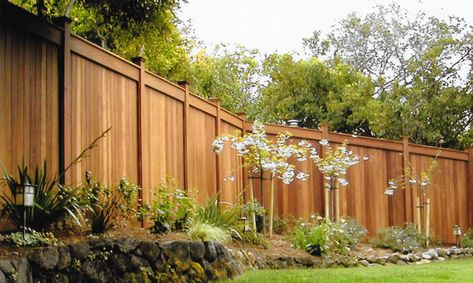 Good Neighbor Fence Installation and Repair Marin | Clough Construction Staining Wood Fence, Good Neighbor Fence, Wood Fence Design, Landscape Curbing, Fence Installation, Front Fence, Timber Fencing, Fence Styles, Privacy Fences