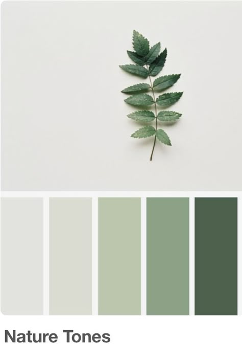 Green Interior Design Palette, White And Green Color Scheme, Sage Green House Aesthetic, Green And White Palette, White Green Color Palette, Green Bedroom Ideas Wall, Light Green Pallet, Green And White Pallet Color, Green Tones Palette