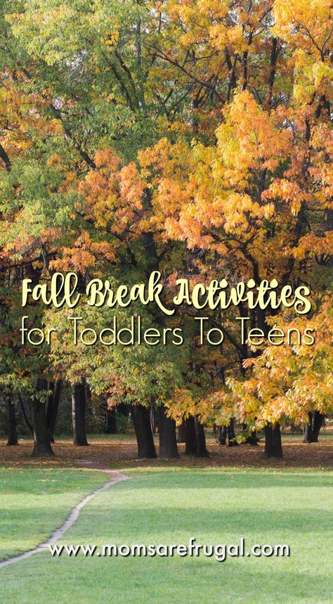 Fall Break came really early this year, but maybe that is because we started school early. Here are Fall Break Activities for Toddlers To Teens. Fall Break Activities, Fall Break Ideas For Kids, Fall Break Activities For Kids, Fall Break Ideas, Fall Activities For Teens, Easy Kid Activities, Break Ideas, Fall Kindergarten, Outdoor Games For Kids