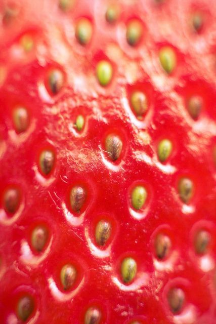 Texture- You can almost feel the strawberry because of how detailed the photo is. Use Of Texture In Photography, Proximity Photography, Food Texture Photography, Patterns In Nature Texture, Repetition Photography, Strawberry Texture, Strawberry Photography, Fruit Texture, Materials Photography