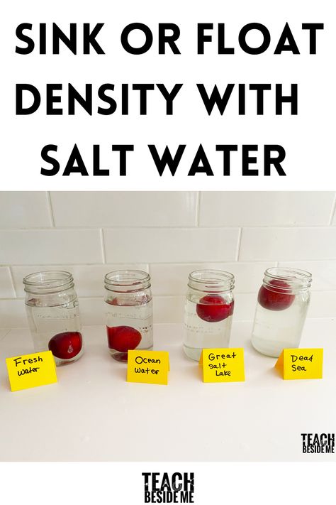 Density Activities, Water Experiments For Kids, Gravity Experiments, Density Experiment, Water Science Experiments, Water Experiments, Sink Or Float, Senses Activities, Learning Games For Kids