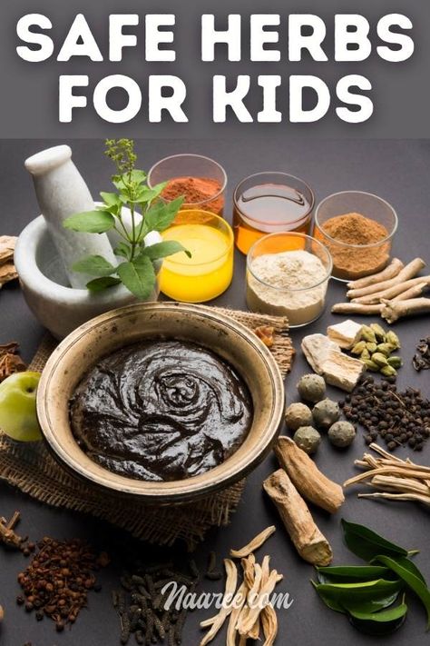 Looking for safe herbs for kids? This list of ayurvedic herbs for kids health includes some of the best herbs for kids, medicinal herbs for kids and healing herbs for kids. Find out how to get your kids to consume these natural herbals and herbal extracts in healthy sandwich spreads #iyurved #ayurvedic #herbals #natural #kidshealth #food #nutrition Healing Herbs Medicine Natural Remedies, Herbal Baking, Healthy Breastfeeding Meals, Breastfeeding Meal Plan, Sandwich Spreads, Detox Herbs, Acid Reflux Relief, Baby Remedies, Healthy Sandwich