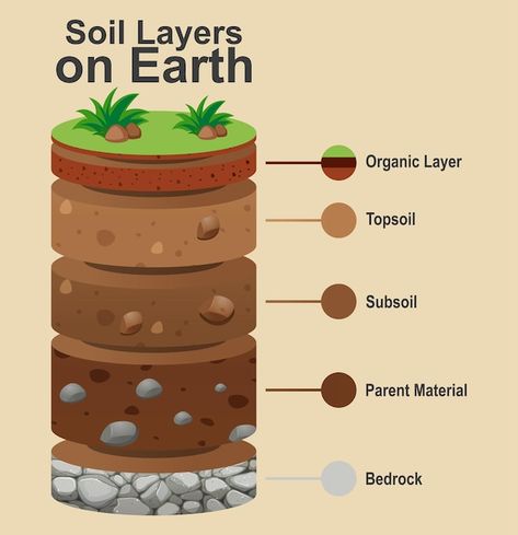 Layers of the earth on white background | Free Vector #Freepik #freevector #science-cartoon #soil-layers #cartoon-earth #geography Rose Outline Drawing, Layers Of Soil, Cartoon Earth, Layers Of The Earth, Learn Cake Decorating, Earth Layers, Rose Outline, Earth Drawings, Profile Drawing