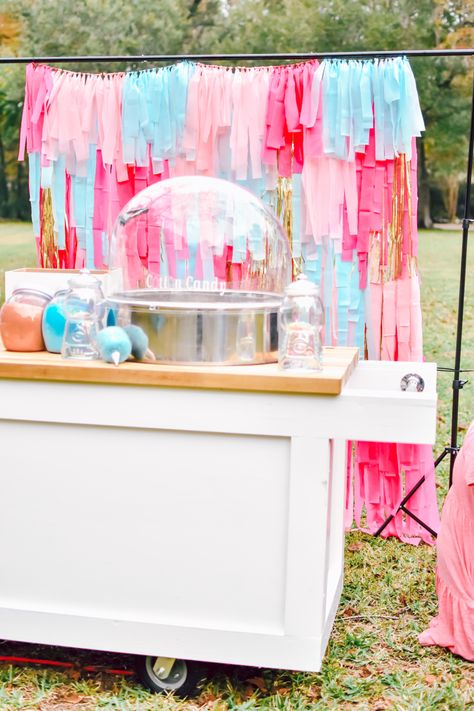 Cotton Candy Birthday Party Theme, Cotton Candy Birthday Party Decorations, Cotton Candy Themed Birthday Party, Cotton Candy Party Display, Cotton Candy Party Decorations, Cotton Candy Machine Party, Cotton Candy Birthday Party, Birthday Cotton Candy, Spring Festival Ideas