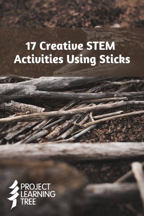 17 Creative STEM Activities Using Sticks for the Classroom  - Project Learning Tree Nature Stem Activities Preschool, Not A Stick Activities, Outdoor Stem Activities For Kids, Indoor Recess Activities, Nature Preschool, Nature Lessons, Stem Activities Preschool, Stem Projects For Kids, Tree Stem