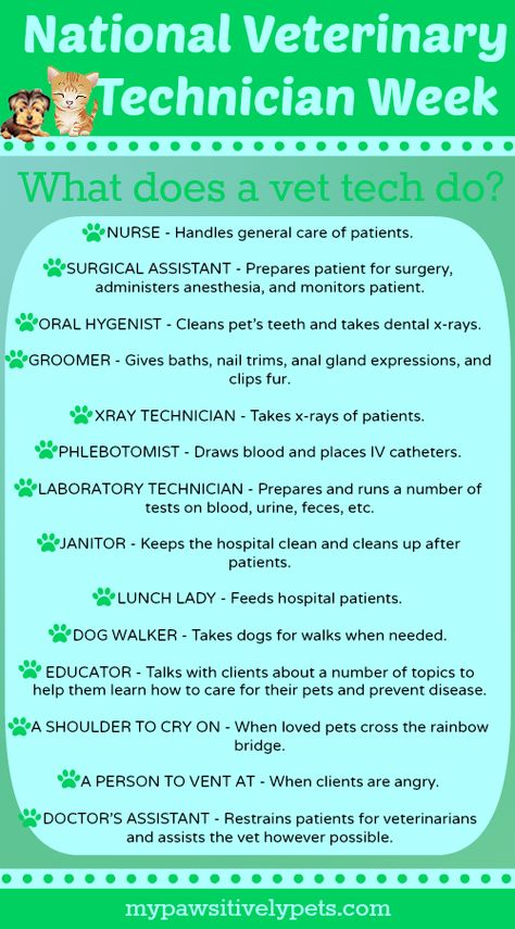 What Is a Veterinary Technician? | National Veterinary Technician Week | Pawsitively Pets Vet Tech Quotes, Veterinary Technician Week, Veterinary Humor, Vet Tech Humor, Veterinarian Technician, Vet Tech School, Veterinary Tech, Vet Tech Student, Vet Technician