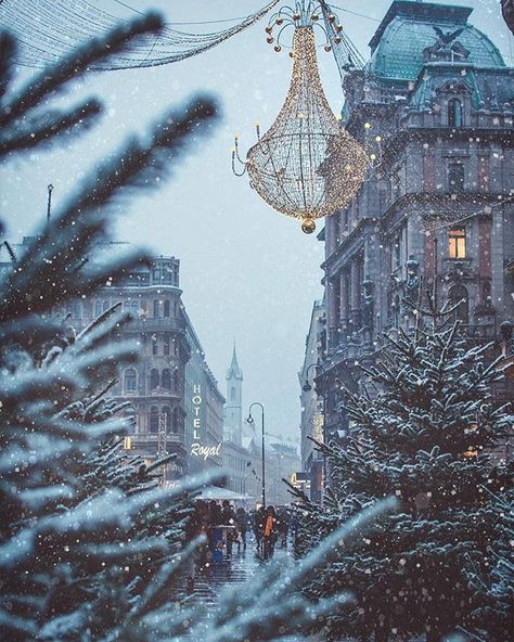 📍 Wien. . 📷 Credits to @chaulafanita #christmas #vienna #austria #europe #europetravel #wanderlust #travel #christmastravel #holidaytravel #winter #snow #holidayinspiration Berchtesgaden National Park, Vienna Christmas, York Outfits, Winters Tafereel, Winter Szenen, God Jul, Winter Magic, Winter Scenery, Innsbruck