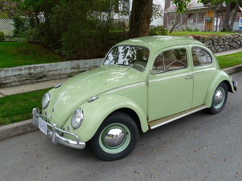 Herbie was a 1962 VW Beetle in The Love Bug Green Bug Car, Van Volkswagen, Green Bug, Green Cars, Retro Auto, Volkswagen Beetle Convertible, Bug Car, Cars Aesthetic, Old Vintage Cars