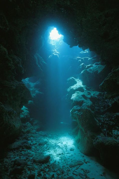 Underwater Caves, Sea Diving, Fauna Marina, Blue Lagoon Iceland, Underwater City, Underwater Photos, Deep Blue Sea, Underwater Photography, Inspirational Images