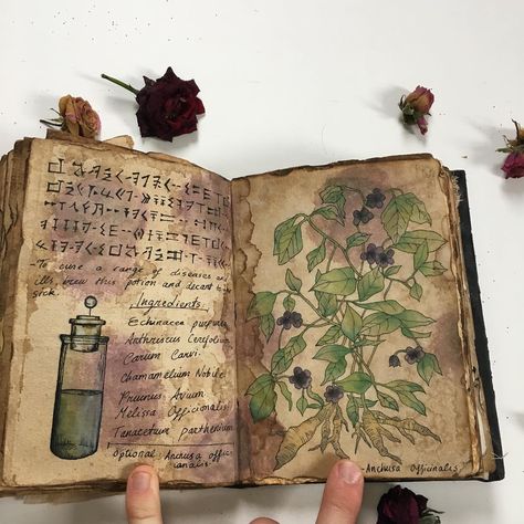 Repost again. This is my handmade replica of Cassie Blake’s Book of Shadows from The CW’s popular TV show-‘The Secret Circle’. Now… The Secret Circle, Botanisk Illustration, Secret Circle, Fairy Aesthetic, Arte Inspo, Green Witch, Magic Book, The Cw, Spell Book