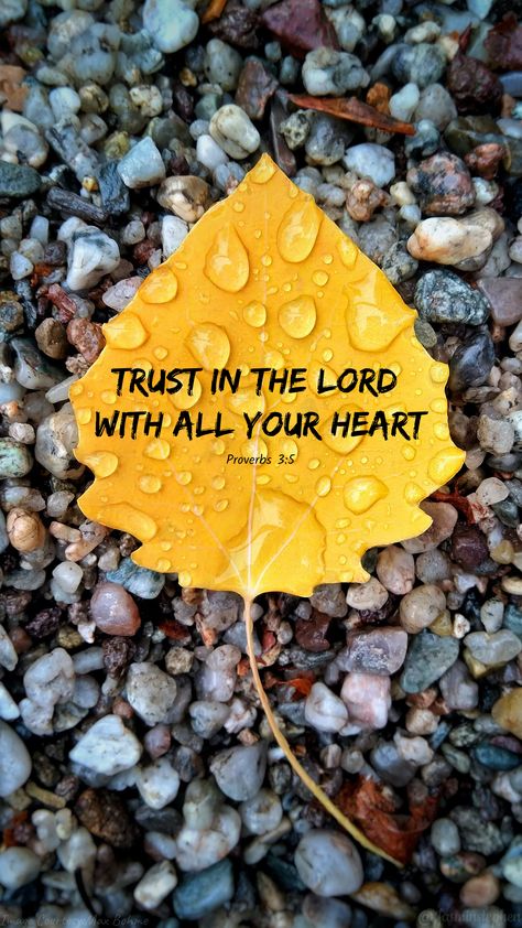 English Bible Verse Image, Verse Bible Wallpaper, Proverbs 3:5, Bible Words In English, English Bible Verses, Proverbs Scriptures, Angel Guides, Faith Wallpaper, Bible Verses Phone Wallpaper