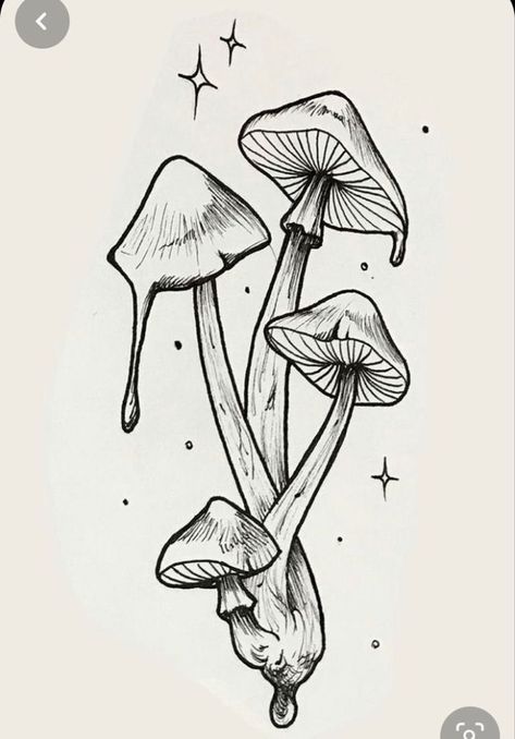 Hongo Tattoo, Beautiful Pencil Drawings, Mushroom Tattoos, Mushroom Drawing, Seni 2d, Tapeta Galaxie, Mushroom Art, Design Drawings, Flash Art