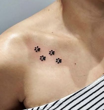 Paw Print Collar Bone Tattoo, Cat Collarbone Tattoo, Flounder Tattoo, Paw Tattoos For Women, Boxing Tattoos, Cat Paw Tattoos, Tiny Paw Print, Collarbone Tattoo, Shoulder Blade Tattoo