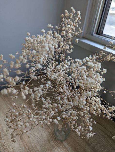 Beige flower, dryer , dried gypsophila, clear vase, home decor, aesthetic flower nature photography Dried Gypsophila, Breath Flowers, Vase Home Decor, Home Decor Aesthetic, Clear Vase, Aesthetic Flower, Flower Nature, Decor Aesthetic, Baby's Breath