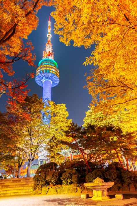 N Seoul Tower, Seoul Night, Seoul Tower, Autumn In Korea, South Korea Photography, Seoul Korea Travel, Tower Falling, Seoul City, Korea Wallpaper