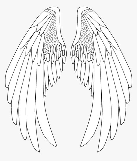 Anime Angel Wings, Angel Wings Cartoon, Drawing Angel, Angel Wings Png, Wings Sketch, Angel Wings Drawing, Wings Png, Angel Wings Art, Wing Tattoo Designs