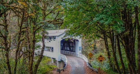 This fall, find out some of the best hotels in Florence, Oregon, and immerse yourself in autumn serenity. Oregon Fall, Florence Oregon, Oregon Coastline, Oregon Dunes, Florence Hotels, Scenic Roads, Pet Friendly Hotels, Casino Resort, Tourist Spots