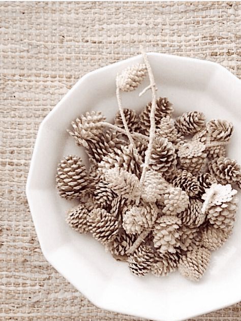 I just love using different textures and natural elements in my home decor, and several years ago I had the idea to try bleaching pinecones. Even though they are neutral already, I thought it would be fun to see if I could get them a lighter color. I want to share an easy process of how to bleach pinecones with you. These bleached pinecones make a beautiful addition to your fall or holiday decor. Pile them in a big bowl, or add them to a wreath or mantel garland. Bleached Pinecones, Bleach Pinecones, Thrift Flip Ideas, Mantel Garland, Succulent Pumpkin, Pinecone Garland, Wednesday Friends, Pine Cone Decorations, Fall Thanksgiving Decor