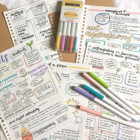 15 Note-Taking Tricks That Will Make Studying Easy Bio Notes, Studera Motivation, Neat Handwriting, Bullet Journal Notes, Revision Notes, School Organization Notes, Study Organization, Biology Notes, Study Inspo