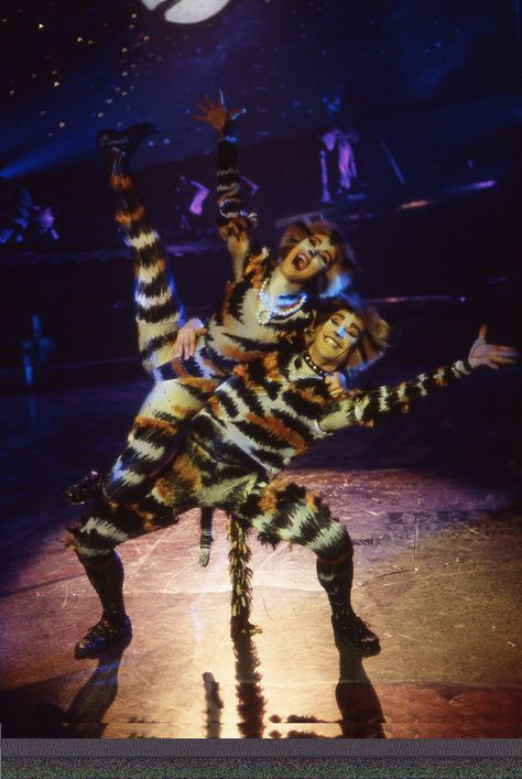 Cats on screen Mungojerrie And Rumpleteazer, Cats The Musical Wallpaper, Rumpleteazer Cats, Cats Broadway, Cats The Musical, Jellicle Cats, Dream Roles, Cat Fountain, Cats Musical