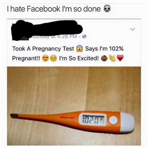 17 People Who Nailed The Facebook Comeback I Hate Facebook, Facebook Jokes, Tumblr Post, Meme Page, Proposal Photography, Funny Statuses, Pregnancy Test, Can't Stop Laughing, Tumblr Funny