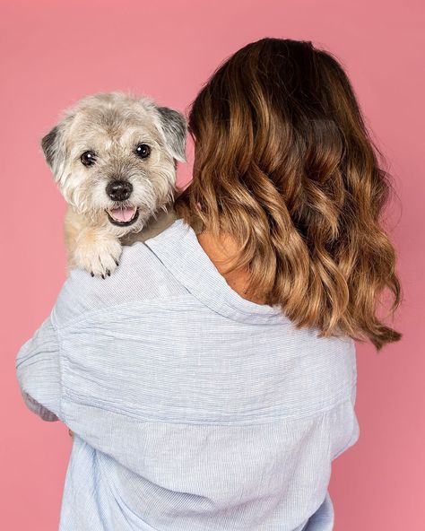 Studio Pet Photography Gallery Pet Photoshoot Studio, Outdoor Pet Photography, Dog Photoshoot Ideas With Owner Studio, Pet Studio Photography, Pet Product Photography, Dog Photoshoot Studio, Pet Photo Ideas, Pet Photography Ideas, Animal Assisted Therapy