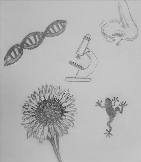 Biology Sketches Drawings, Biology Sketches, Bio Art, Biology, Drawing Sketches, Art Sketches, Art Drawings, Sketch, Humanoid Sketch