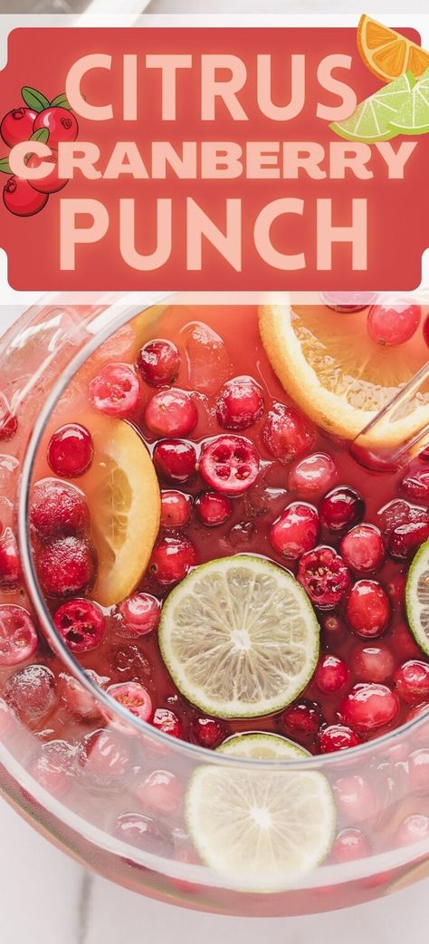 Cranberry Pineapple Orange Juice Punch, Cranberry Lime Punch, Cranberry Orange Juice Ginger Ale Punch, Pineapple Ginger Ale Punch, Sparkling Fruit Punch, Cranberry Punch Recipes Ginger Ale, Best Alcoholic Punch, Holiday Punch Recipes Non Alcoholic, Punch With Cranberry Juice