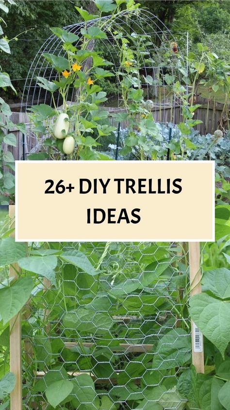 pumpkin trellis ideas vegetable garden trellis ideas for vegetable garden || outdoor trellis ideas Squash Trellis Ideas, Climbing Flowers Trellis, Trellis Ideas Garden, Outdoor Trellis Ideas, Wooden Garden Trellis, Pumpkin Trellis, Backyard Trellis, Climbing Plants Trellis, Teepee Trellis