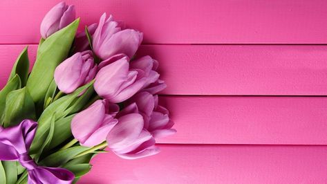 Tulip: Primary Significance of Love Tulips Images, Growing Tulips, Orange Tulips, Online Flower Delivery, Wallpaper Project, Purple Bouquet, I Believe In Pink, Beautiful Pink Flowers, Purple Tulips