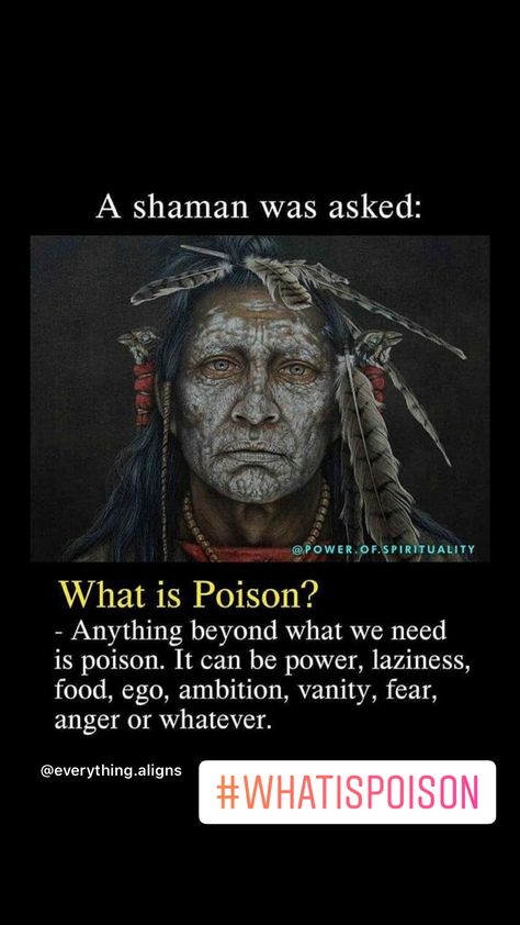 What Is Poison, Nightmares Art, Native American Chief, Deep Thinking, Soul Searching, Egyptian Gods, Ancient Wisdom, Native American Indians, Mind Blown