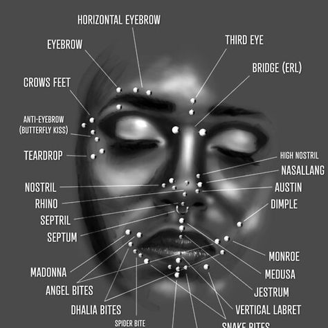 Face Piercing Chart, Black and White Piercing No Rosto, Piercings Corps, Piercing Facial, Spiderbite Piercings, Piercings Bonitos, Types Of Facials, Ear Piercings Chart, Piercing Chart, Types Of Ear Piercings