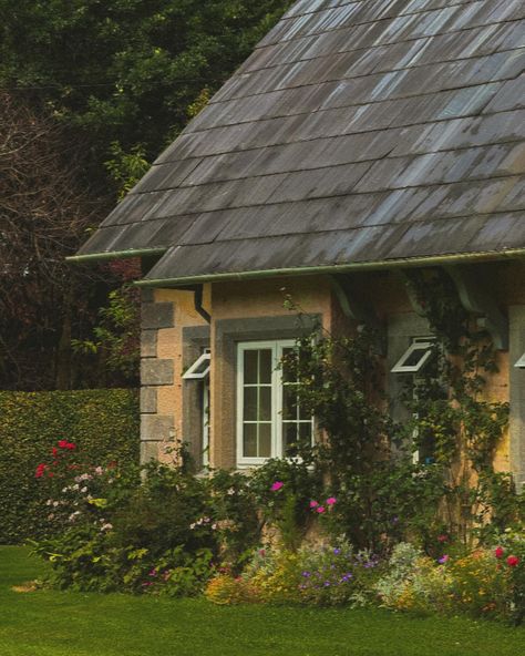 Cinematic Irish countryside ☘️ Irish Core Aesthetic, Irish Countryside Aesthetic, Unsettling Aesthetic, Irish Aesthetic, Ireland Countryside, Irish Summer, Irish Farmhouse, Ireland Aesthetic, Ireland Cottage