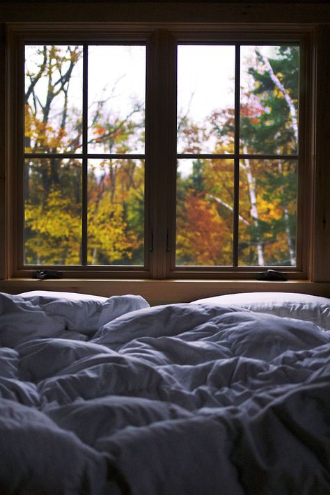 Early fall mornings. Unmade Bed, Cozy Morning, Cozy Mornings, Autumn Morning, Up House, Window View, Through The Window, Autumn Cozy, Cabins In The Woods