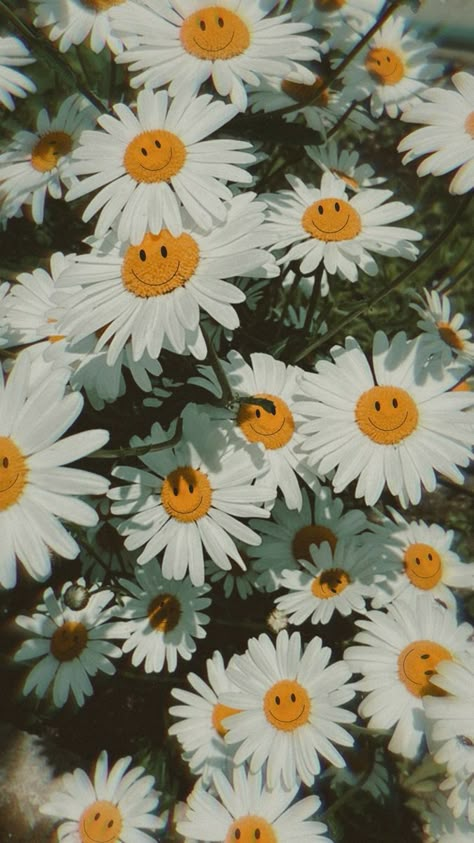 Alice In Wonderland Plants, Smiley Face Phone Wallpaper, Daisy Asthetic Picture, Smiley Wallpapers Aesthetic, Trippy Smiley Face Wallpaper, Alice In Wonderland Aesthetic Trippy, Smiley Face Quotes, Smiley Aesthetics, Alice In Wonderland Daisy