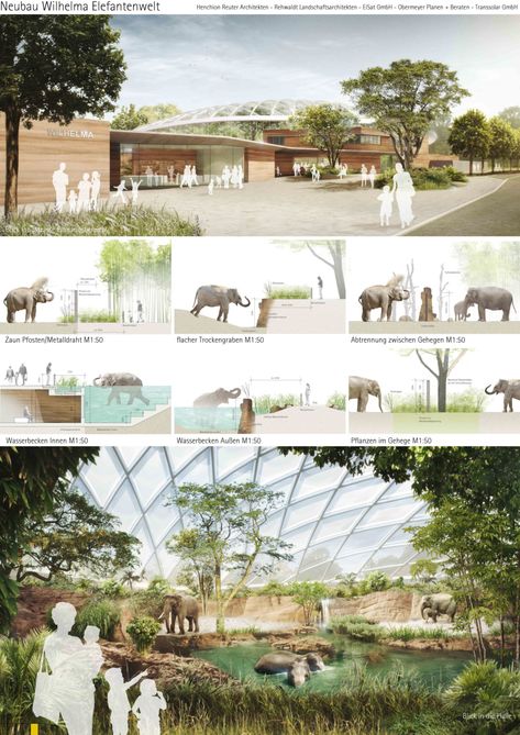 Elephant Habitat, Elephant House, Elephant Zoo, Zoo Project, Zoo Architecture, Elephant Park, City Zoo, Zoo Park, Ancient Greek City