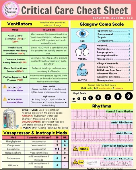 Nursing School Studying Cheat Sheets, Medical Assistant Student, Nursing School Essential, Nursing Study Guide, Nursing School Motivation, Basic Anatomy And Physiology, Questions With Answers, Nurse Study Notes, Nursing Mnemonics