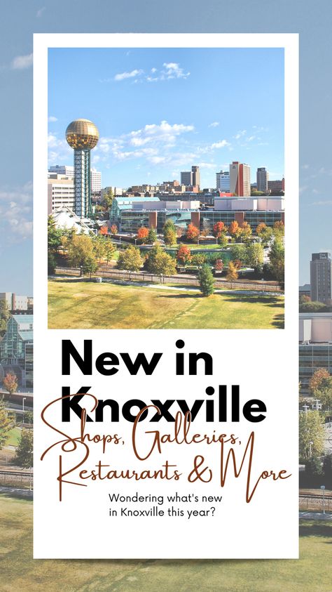 Knoxville Restaurants, Hiking In Knoxville Tn, Best Restaurants In Knoxville Tn, Shopping In Louisville Ky, University Tennessee Knoxville, Dinner Reservations, Fountain City, Knox County, Trendy Food