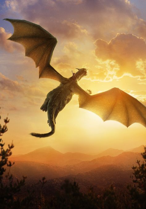 Elliot Dragon, Wing Aesthetic, Pete Dragon, Wallpapers For Phone, Dragon Movies, Something Wild, Pet Dragon, Dragon Party, Secret Life Of Pets