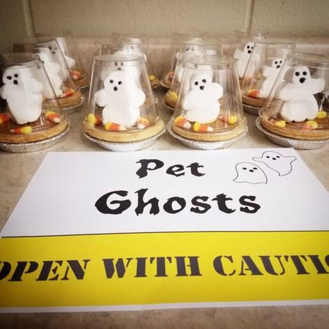 Pet Ghosts #trickortrend 👻 https://discover.hubpages.com/holidays/last-minute-halloween-party-favors Ghost Snacks Preschool, Ghost Themed Snacks, Adopt A Ghost Party Favor, Ghost Snacks, Ghost Marshmallows, Halloween Party Favors For Kids, Halloween Class Treats, Last Minute Halloween Party, Ghost Food