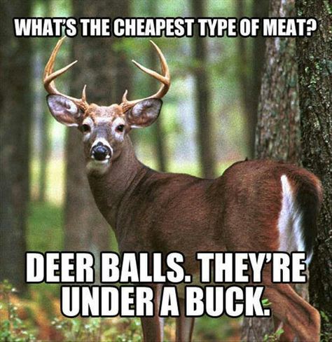 Deer Balls Funny Hunting Pics, Deer Hunting Humor, Hunting Jokes, Hunting Quotes, Funny Deer, Deer Season, Hunting Humor, Whitetail Bucks, Hunting Life