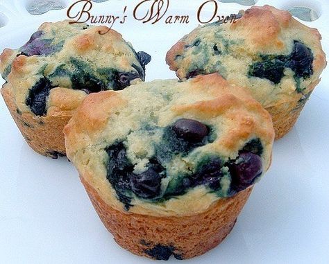 Plain Yogurt Recipes, Vanilla Yogurt Recipes, Blueberries Muffins, Yogurt Dessert Recipes, Yogurt Desserts, Yogurt Blueberries, Blueberry Yogurt Muffins, Sunday Plans, Muffins For Breakfast