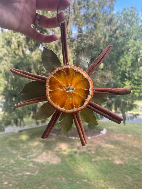 Herbal Sun Wreath made from dried orange slices, cinnamon sticks, and bay leaves. Dried Teasel Wreath, Sun Wreath Diy, Witchy Winter Decor, Yule Decorations Winter Solstice Diy, Natural Craft Ideas, Yule Crafts Diy, Dried Sunflowers Ideas, Yule Diy Decorations, Yule Decorations Diy