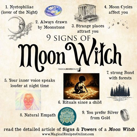 Different Kinds Of Witches, Witchy Morning, White Witch Aesthetic, Glamor Magic, Witches Grimoire, Witch Types, Hunter Moon, Witch Spells, Lunar Witch