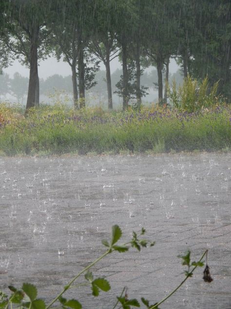 Rain love... Rain Love, Smell Of Rain, Rainy Day Aesthetic, Matka Natura, I Love Rain, Love Rain, Rainy Night, Summer Rain, Sound Of Rain