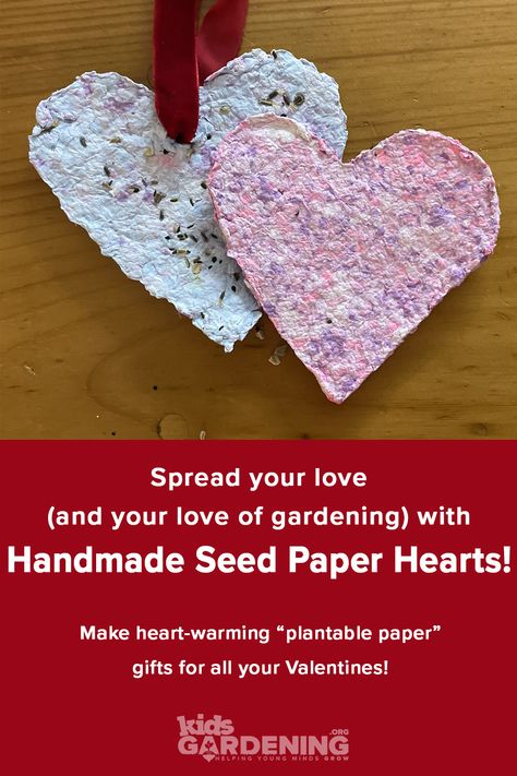 Homemade Seed Paper, Seed Paper Diy, Art Caddy, Paper Valentines, Flower Seed Paper, Homemade Paper, Plantable Paper, Gardening Projects, Plantable Seed Paper